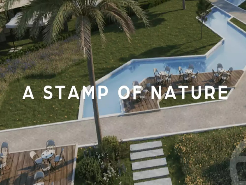 تالدا gallery image