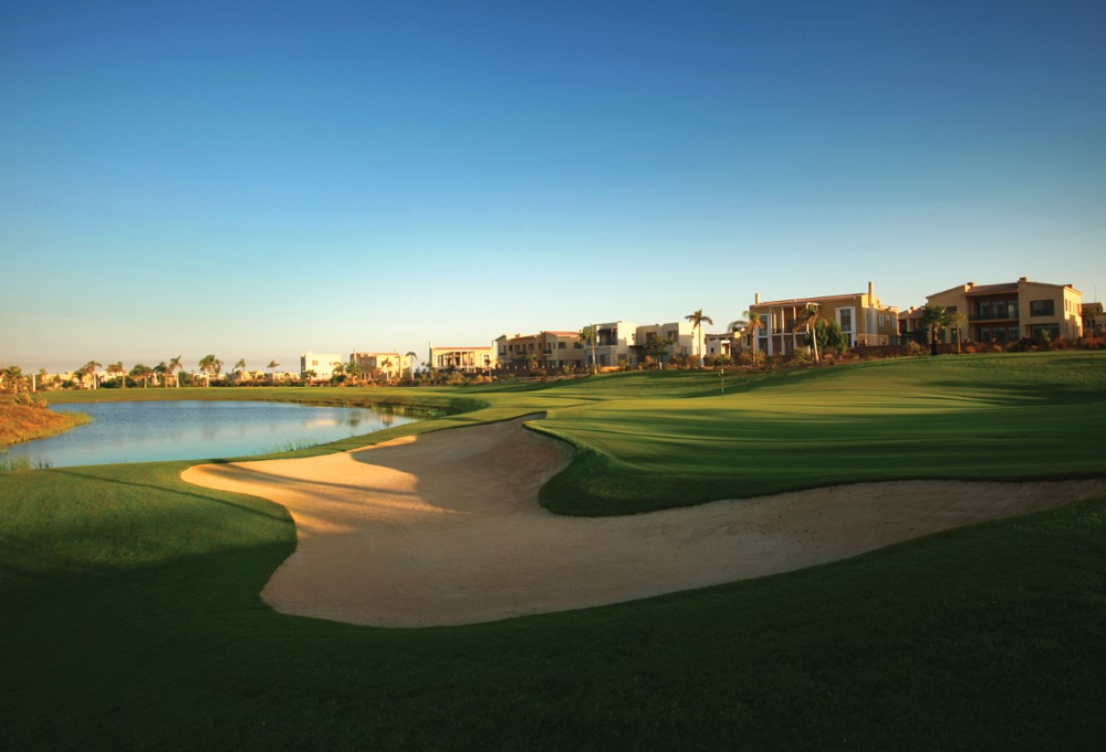 اليجريا gallery image