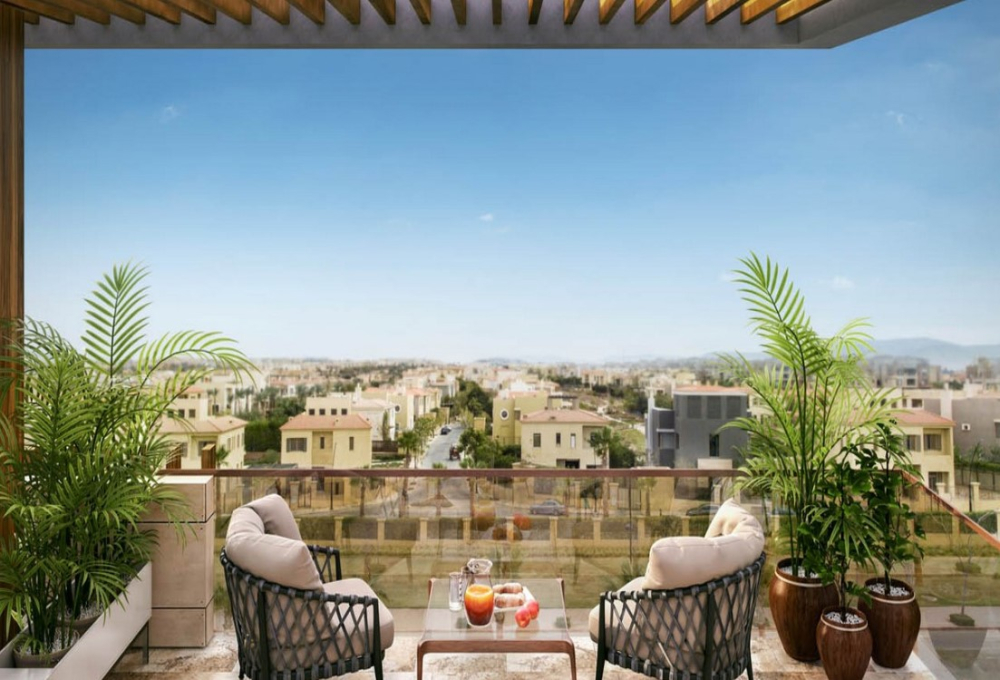 اليجريا gallery image