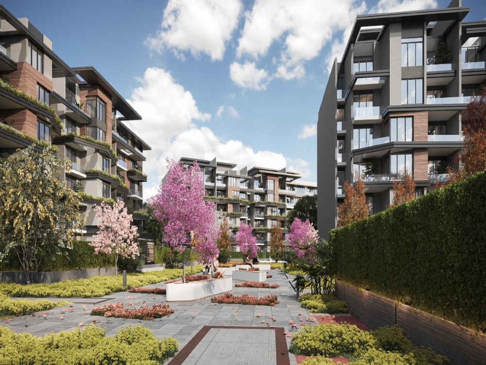 ايلاف gallery image